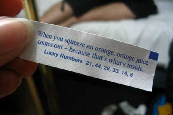 40 Genius Fortune Cookie Messages (40 photos)