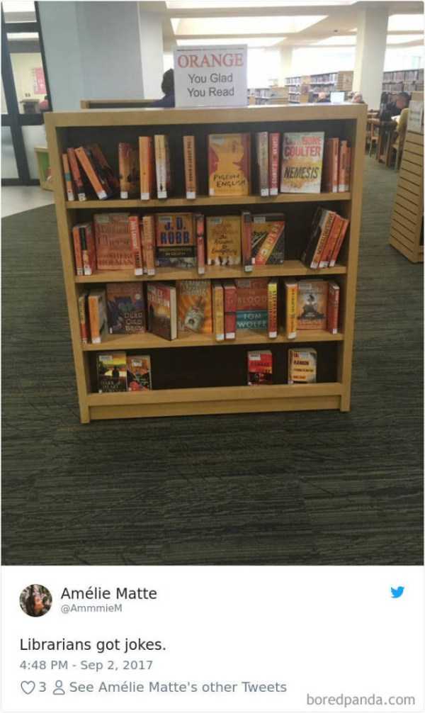 Humorous Librarians (40 photos)