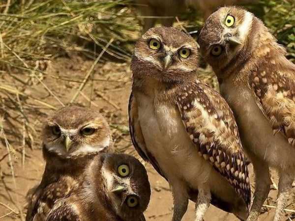 45 Amazing HD Pics That Will Please Your Eyes (45 photos)