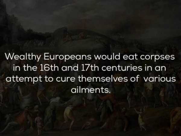 history facts 24