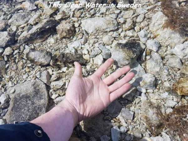 59 Random Pictures With Captions (59 photos)