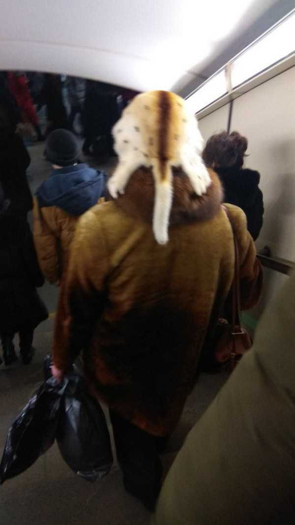 russian metro fashion 14