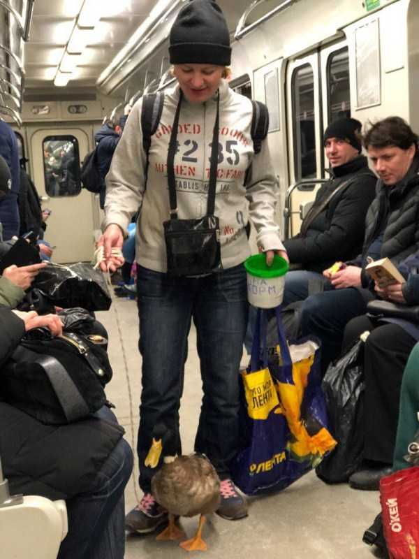 Subway Fashion: Russian Edition – Part 22 (37 photos)