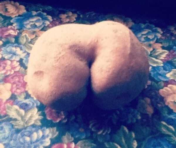 butt shaped things 10