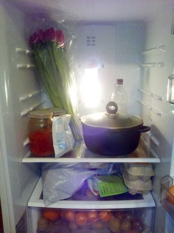 61 WTF Photos From The Planet Russia