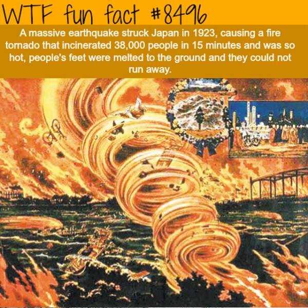 funny facts 1