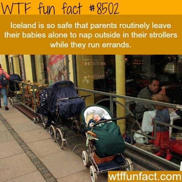 funny facts 2