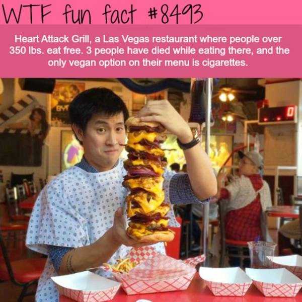 funny facts 3