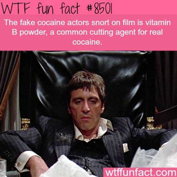 funny facts 5