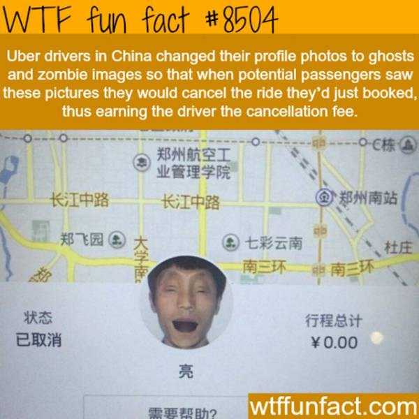 funny facts 8