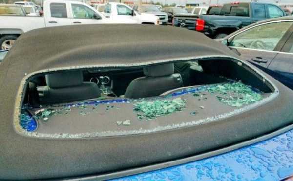 380 Brand New Cars Heavily Damaged By Hail Storm (24 photos)
