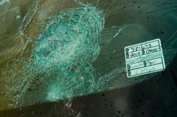 380 Brand New Cars Heavily Damaged By Hail Storm (24 photos)