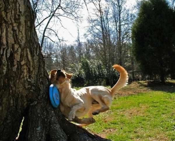 49 Perfectly Timed Photos