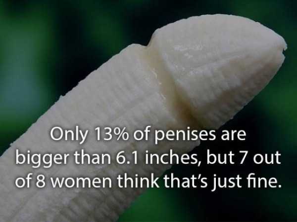 sex facts 11