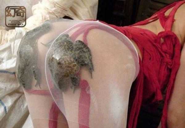57 More WTF Photos, Because Why Not!?