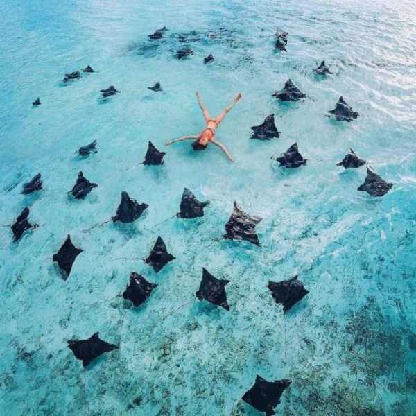 45 Nothing But Awesome Pics (45 photos)