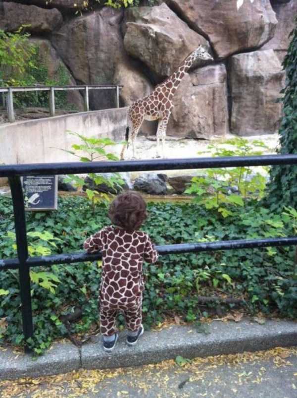 45 Nothing But Awesome Pics (45 photos)