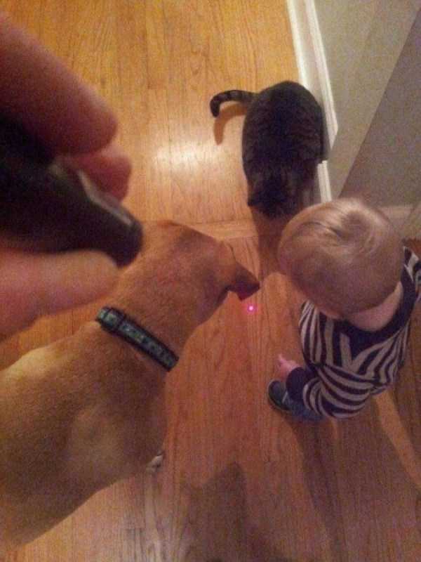 45 Nothing But Awesome Pics (45 photos)