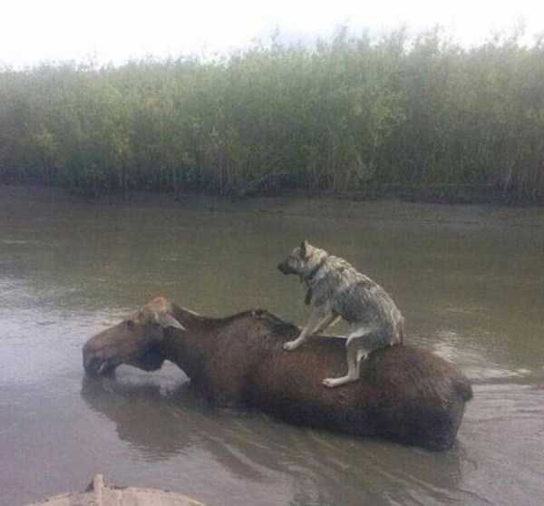 45 Nothing But Awesome Pics (45 photos)