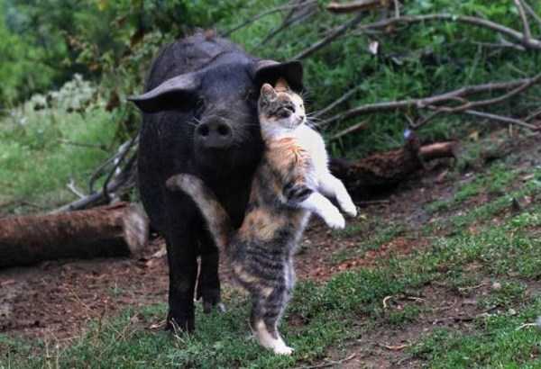 45 Nothing But Awesome Pics (45 photos)