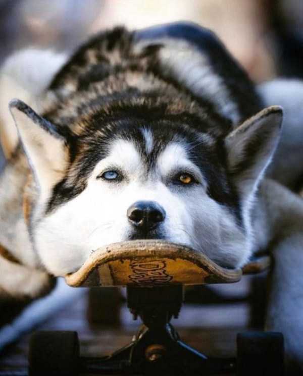 45 Nothing But Awesome Pics (45 photos)