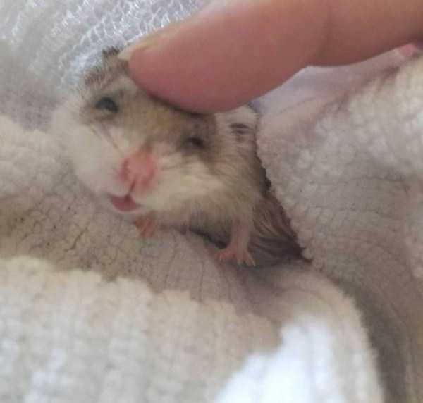 45 Nothing But Awesome Pics (45 photos)