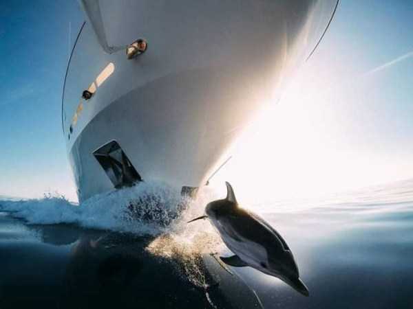 51 Nothing But Awesome Pics (51 photos)