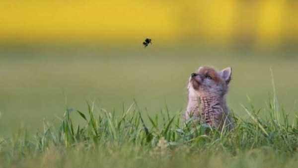 50 Nothing But Awesome Pics (50 photos)