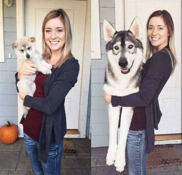 Cool Selection Of 56 Interesting Before And After Pictures (56 photos)
