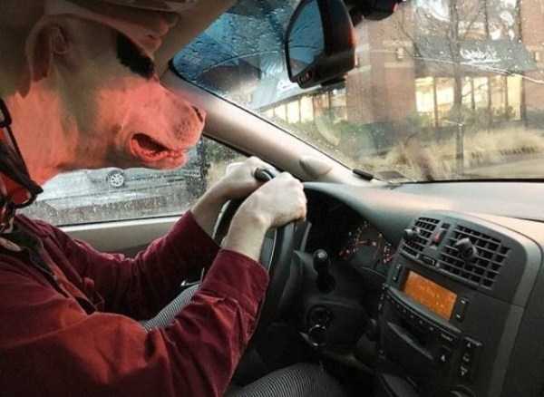 38 Confusing Pics You Need To Look At Twice (38 photos)