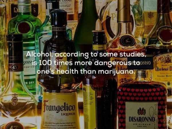 It’s Time For Some Cool And Interesting Facts – Part 63 (63 photos)