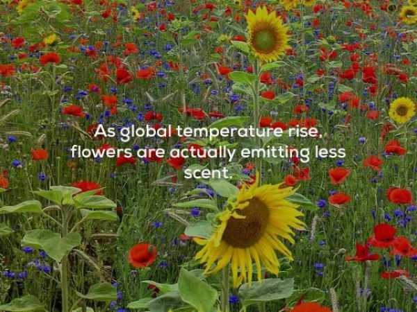 It’s Time For Some Cool And Interesting Facts – Part 63 (63 photos)