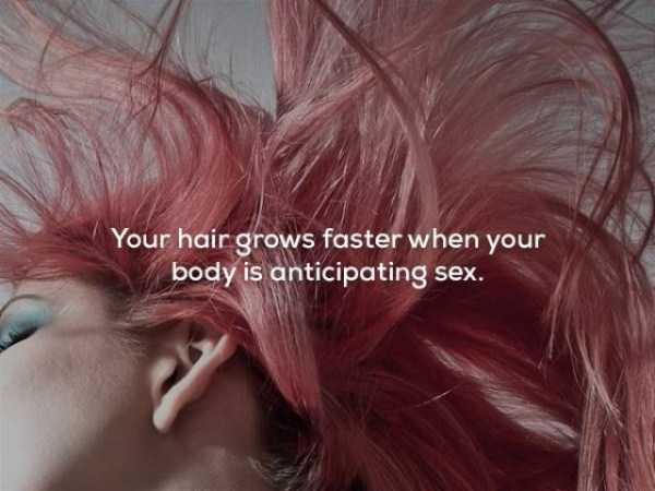 It’s Time For Some Cool And Interesting Facts – Part 63 (63 photos)