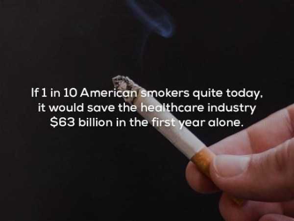 It’s Time For Some Cool And Interesting Facts – Part 63 (63 photos)