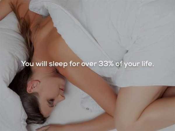 It’s Time For Some Cool And Interesting Facts – Part 63 (63 photos)