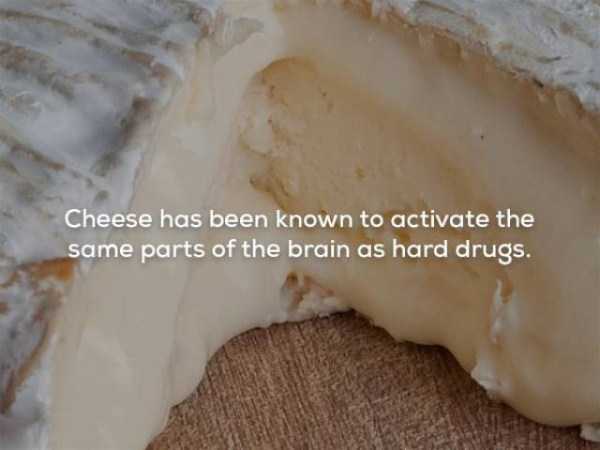 It’s Time For Some Cool And Interesting Facts – Part 63 (63 photos)