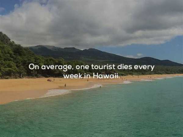 It’s Time For Some Cool And Interesting Facts – Part 63 (63 photos)