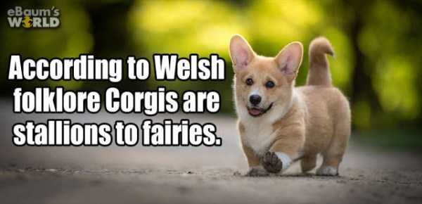 It’s Time For Some Cool And Interesting Facts – Part 63 (63 photos)