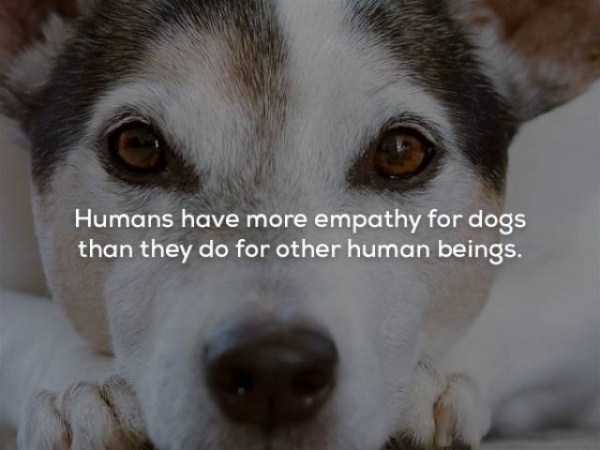 It’s Time For Some Cool And Interesting Facts – Part 63 (63 photos)