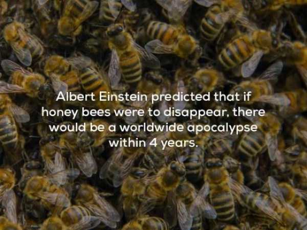 It’s Time For Some Cool And Interesting Facts – Part 63 (63 photos)