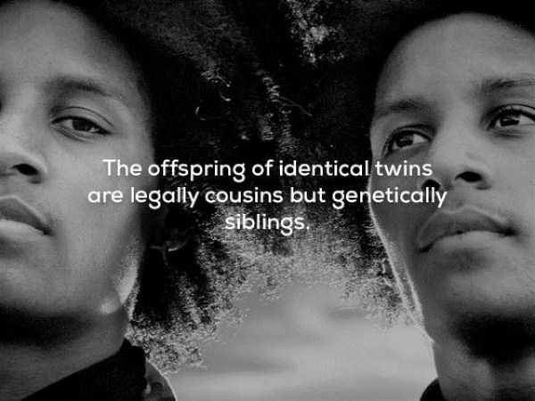 It’s Time For Some Cool And Interesting Facts – Part 63 (63 photos)