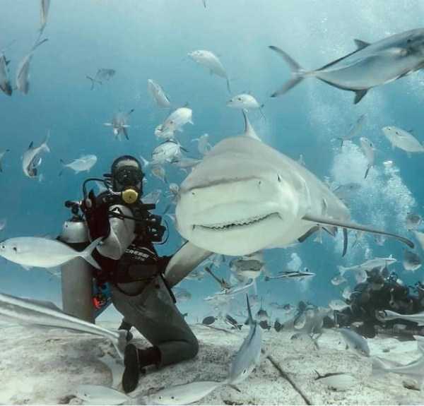 58 Nothing But Awesome Pics (58 photos)