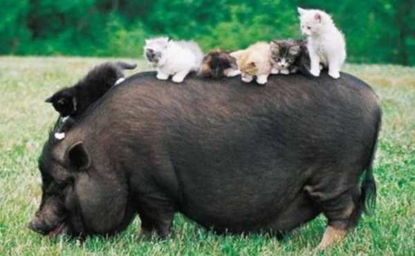 58 Nothing But Awesome Pics (58 photos)