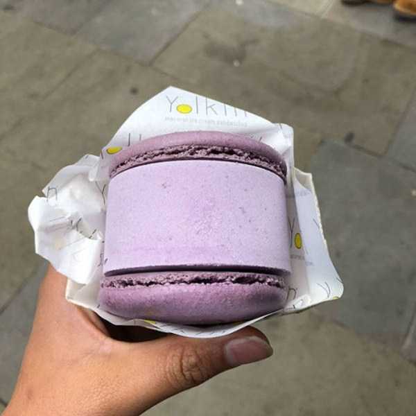 58 Nothing But Awesome Pics (58 photos)