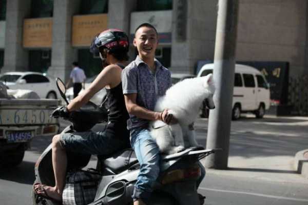 Wicked Asia – Part 5 (76 photos)