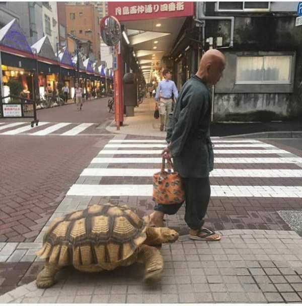 Wicked Asia – Part 5 (76 photos)