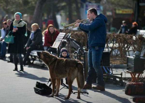 47 WTF Photos From The Planet Russia