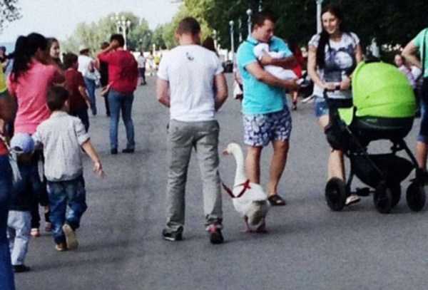 47 WTF Photos From The Planet Russia