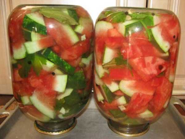 47 WTF Photos From The Planet Russia