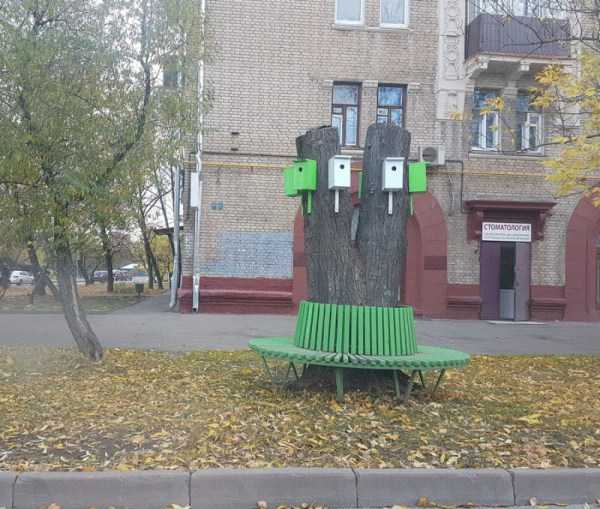 61 WTF Photos From The Planet Russia